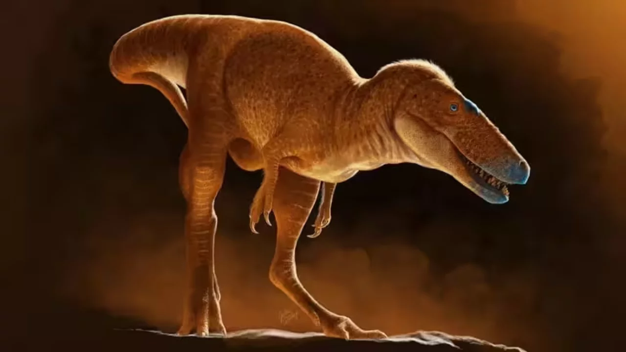 Tyrannosaurus Rex: the discovery of a new species has brightened history