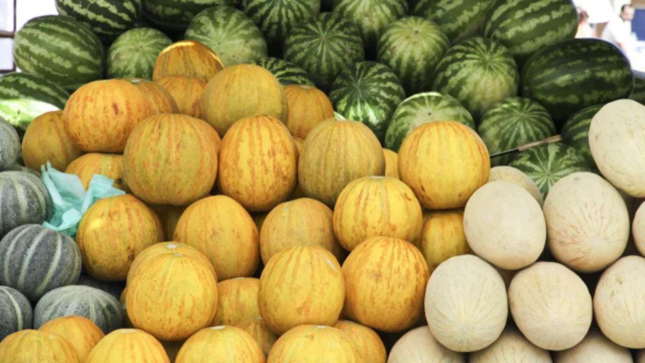 No deaths from melon or watermelon reported — official statement