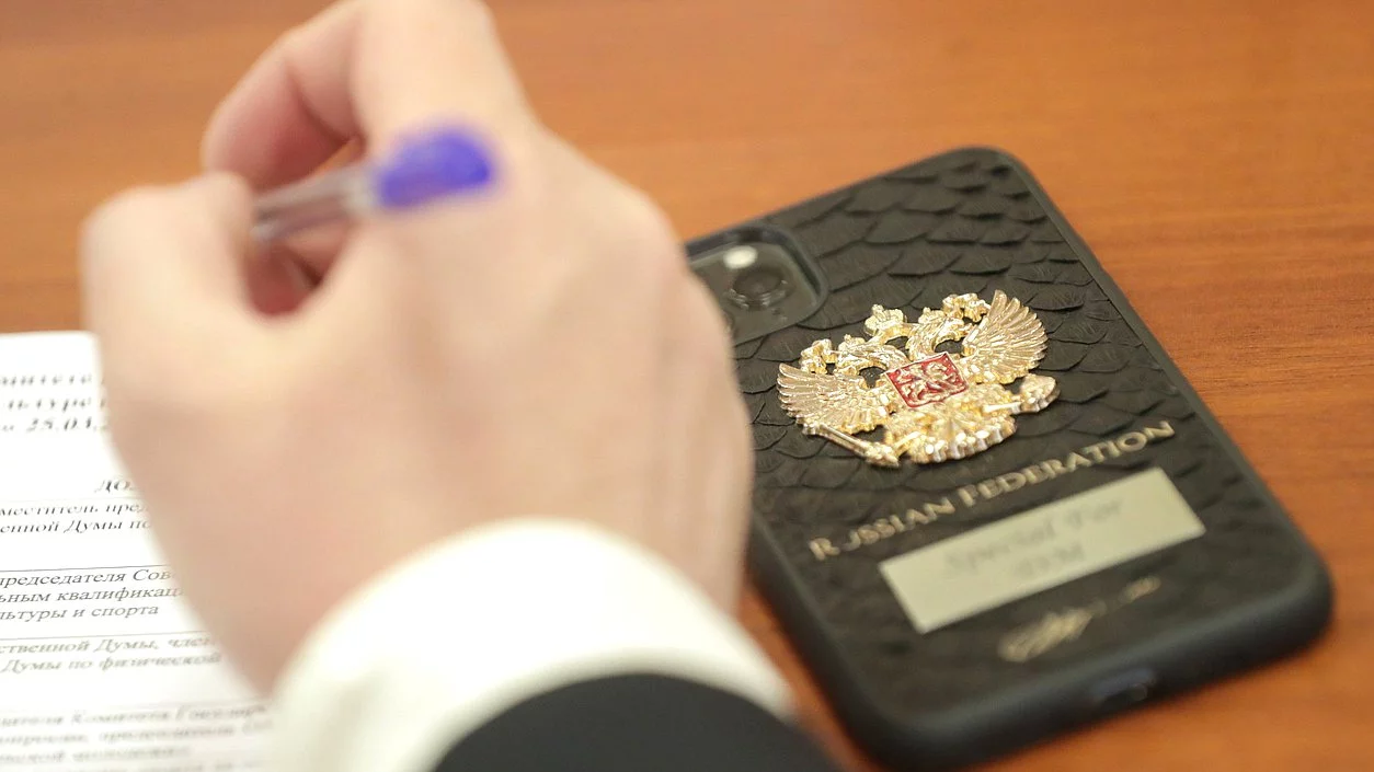 An application combining messengers and government services will be created in Russia