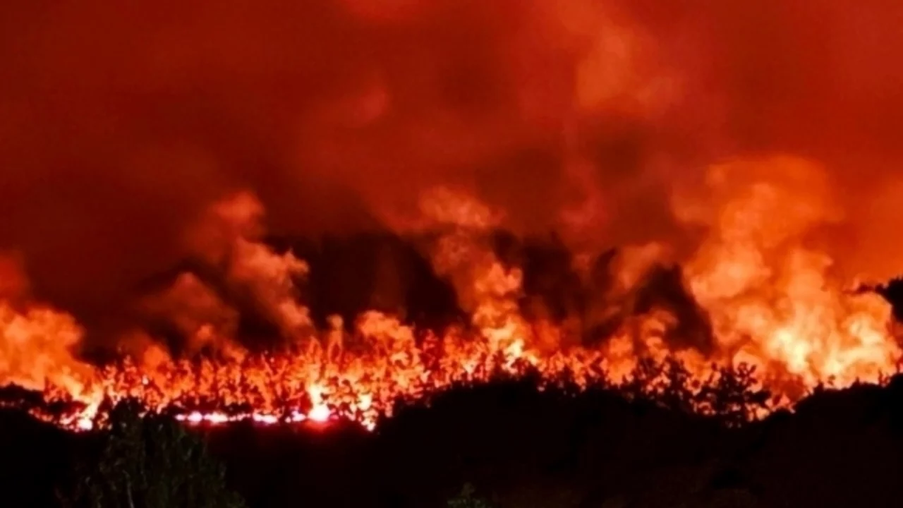 Large-Scale Forest Fires Continue in Turkey