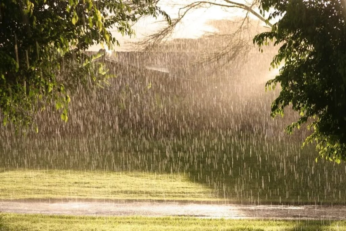 Singaporean scientists have created a technology for generating electricity from rain!