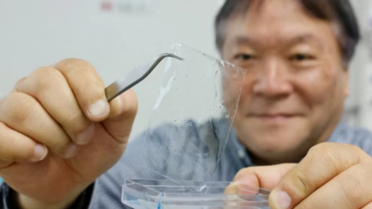 Japan develops plastic that dissolves in seawater: major step for the planet