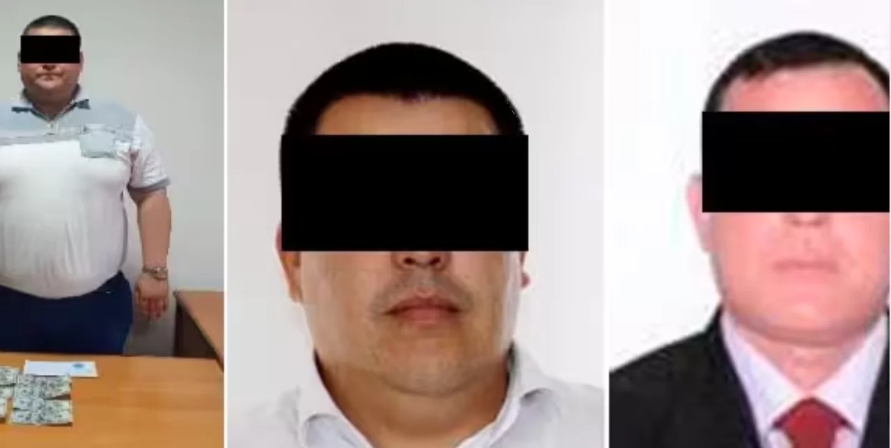 Devlet Güvenliği Ortaya Çıkardı: Mesleki Sertifika İçin Rüşvet, 5–10 Yıl Hapis Tehdidi
