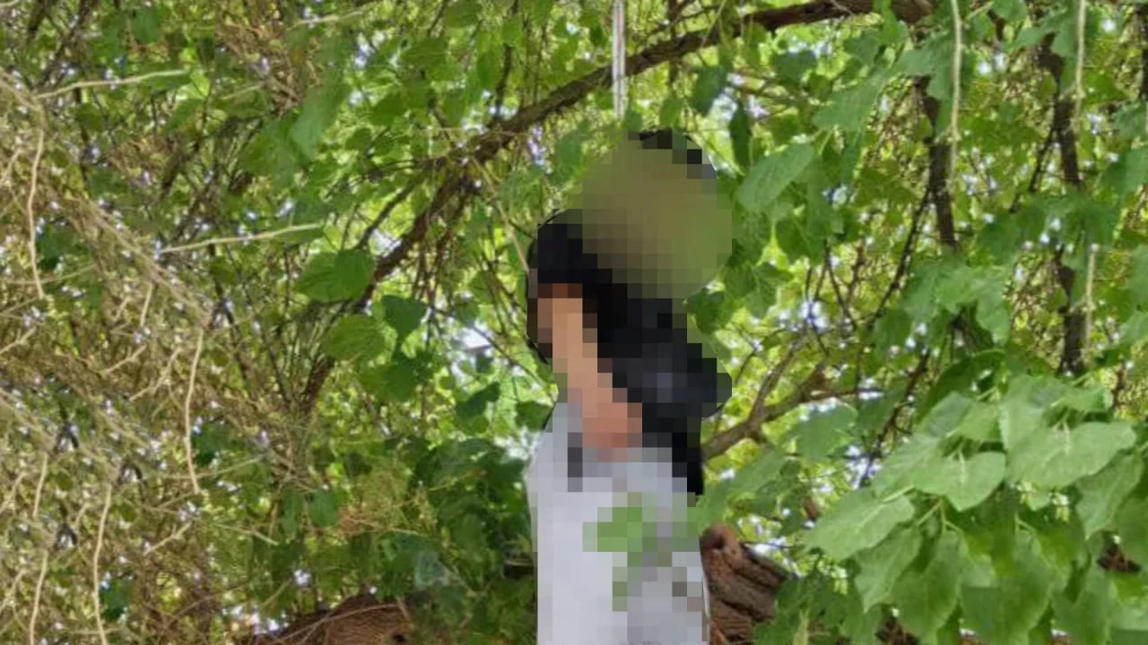 Toshkentda 19 yoshli yigit daraxtga osilgan holda topildi