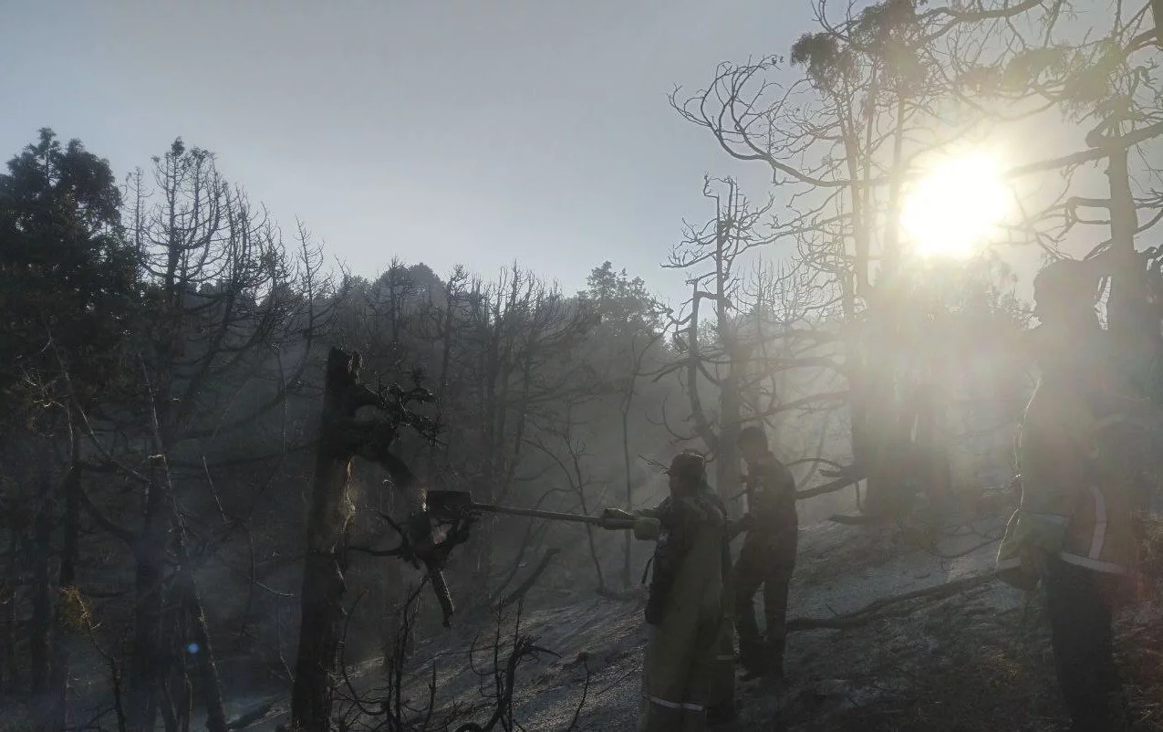 3 Hectares Burned in Boysun — Helicopter and Drones Deployed