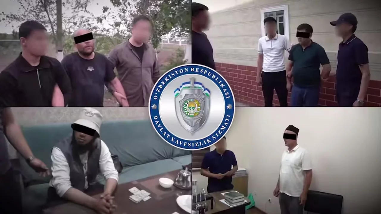 Those who tried to make "easy money" by selling land in the regions were detained (video)