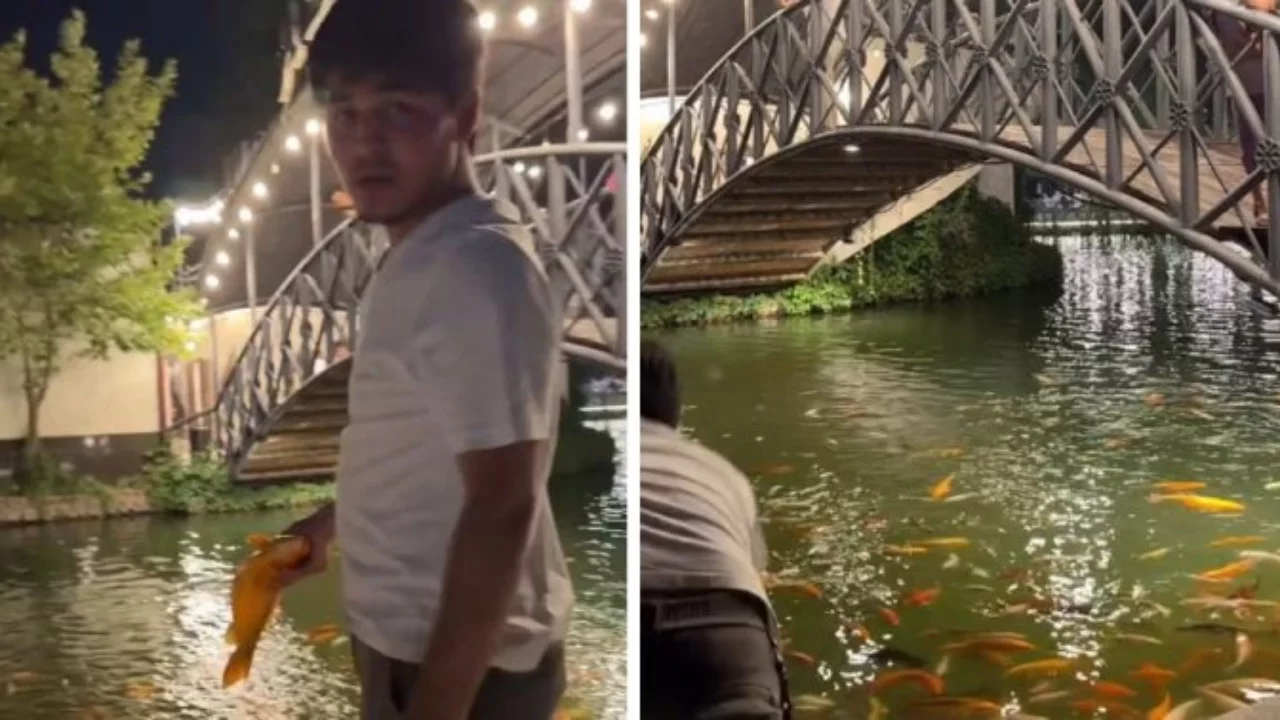 "Онасига раҳмим келди": Тошкентдаги Central Park балиқчиси иши қандай якун топди?