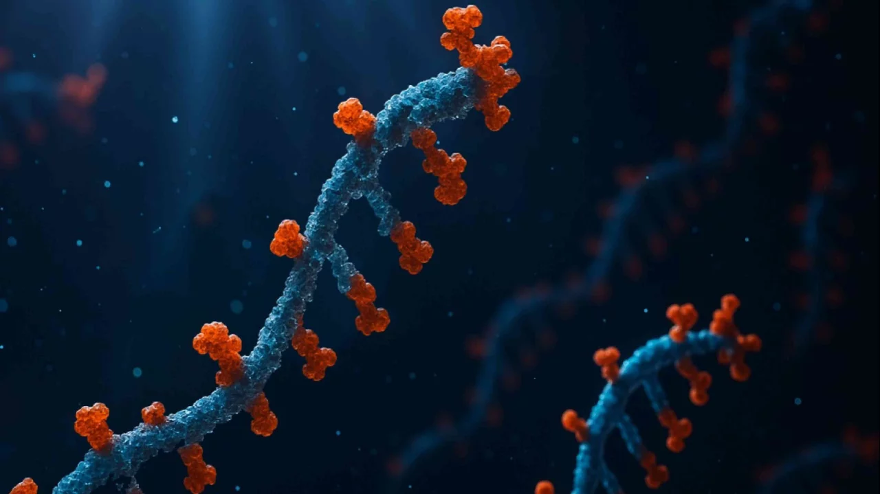 Artificial intelligence that can modify the human body has been created