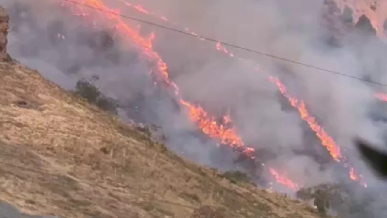 Küçük Çimyon Dağı'nda yangın çıktı (video)