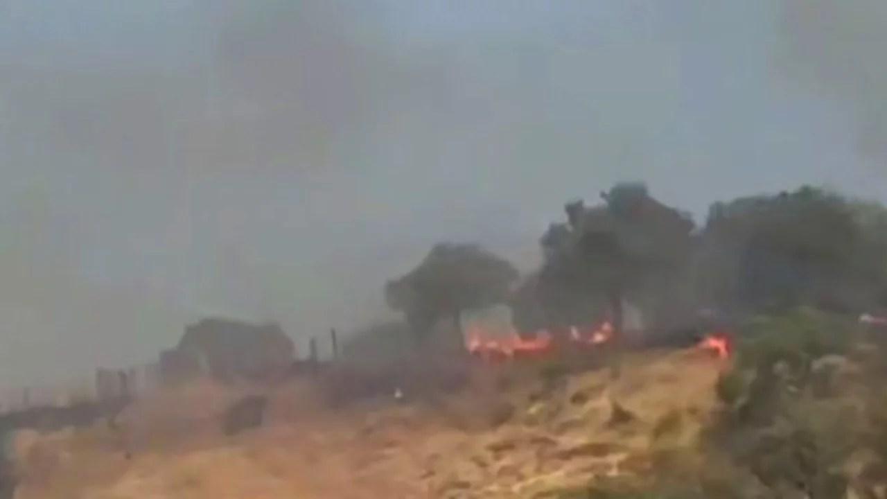 Fire in Bostonlyk - forest burned down, two hours spent extinguishing