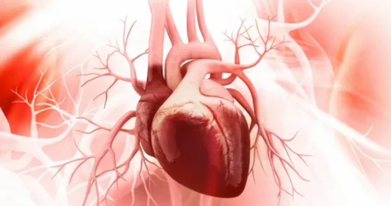 If fat accumulates in the heart, constant headaches may occur