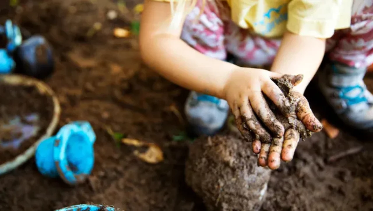 A child who plays in the dirt gets sick less often - is this true?
