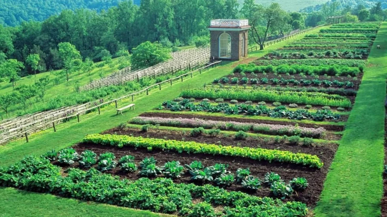 Farmer’s land plot put up for auction due to tax debt