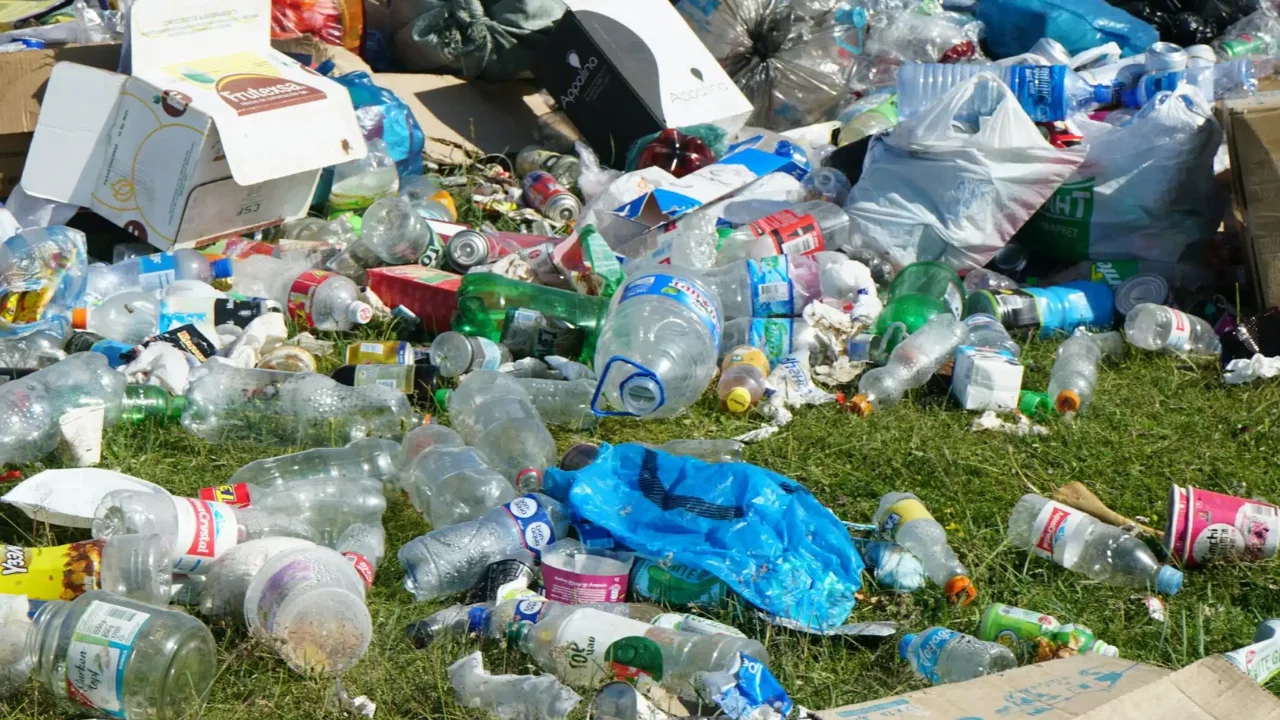 7.9 billion soums in fines for illegal waste dumping