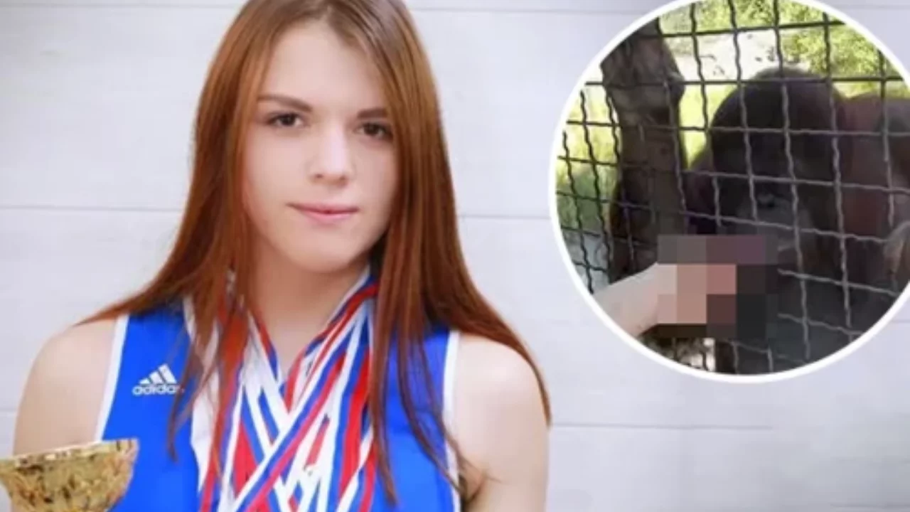 Orangutana sigara uzatan Rus sporcu sert şekilde eleştirildi
