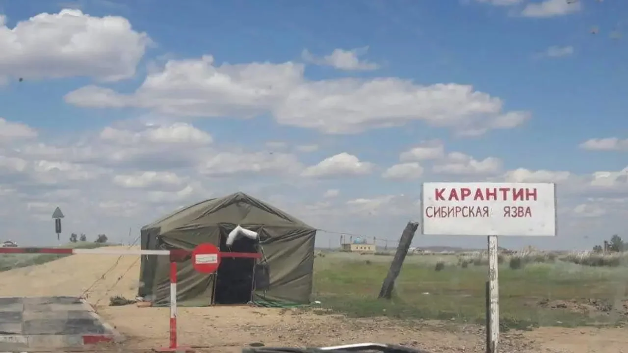 Куйдирги сабабли карантин: Қозоғистон қишлоқларида эпидемиологик таҳдид ва жиддий чоралар