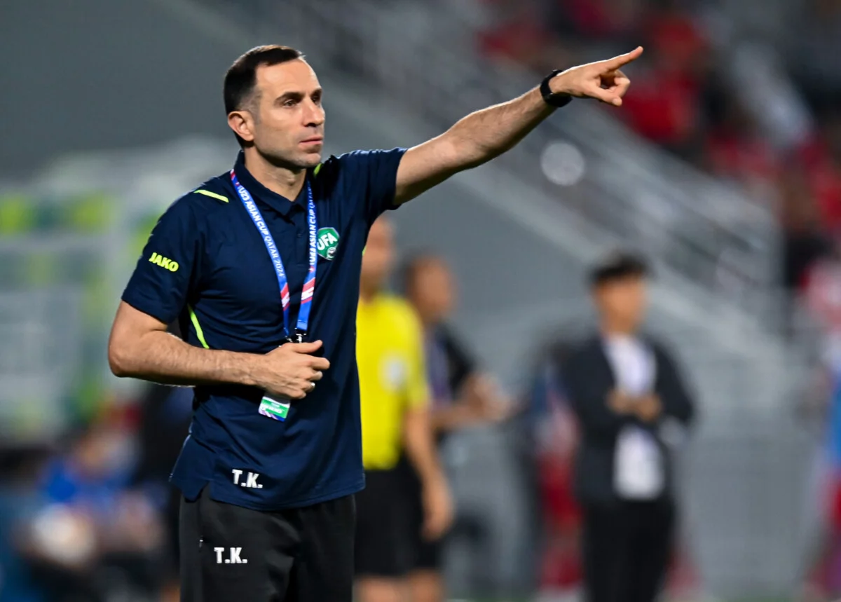 What did Timur Kapadze acknowledge regarding Löw and Bilić?