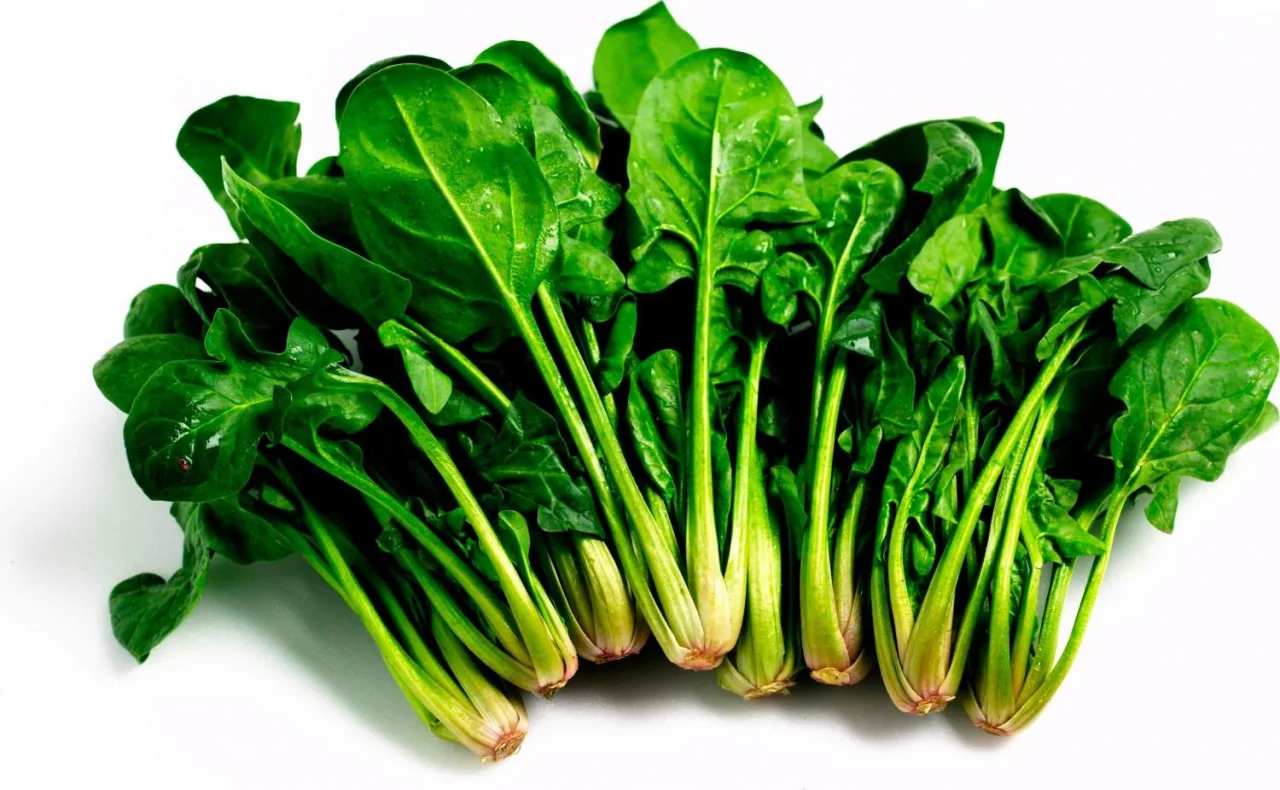 The green miracle that protects your heart: spinach saves lives