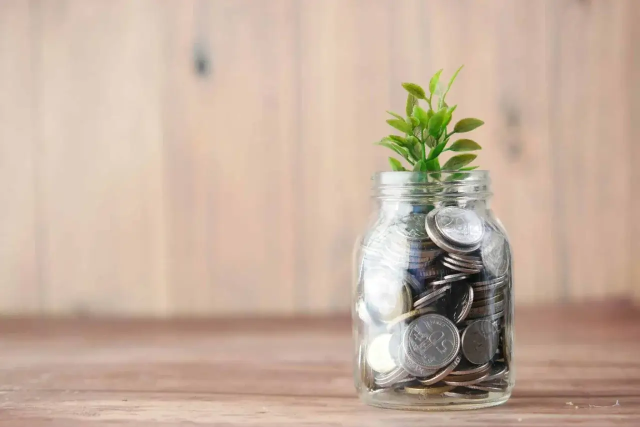 Investitsiya jalb etish uchun maxsus platforma ishga tushiriladi