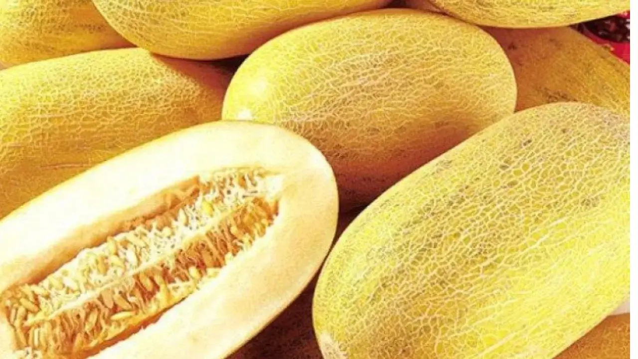 Kyrgyzstan returns 21 tons of melons from Uzbekistan