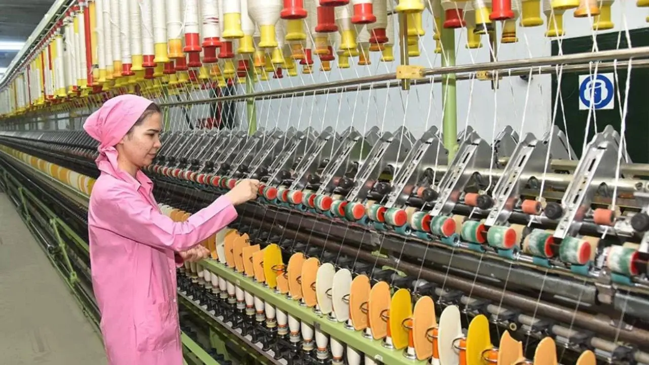 In which sector is the number of entrepreneurs increasing sharply?