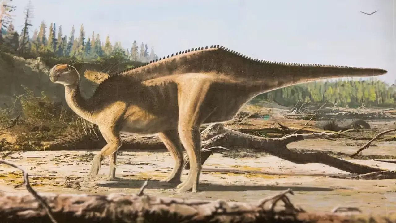 A unique species of sailing dinosaur has been discovered in Britain