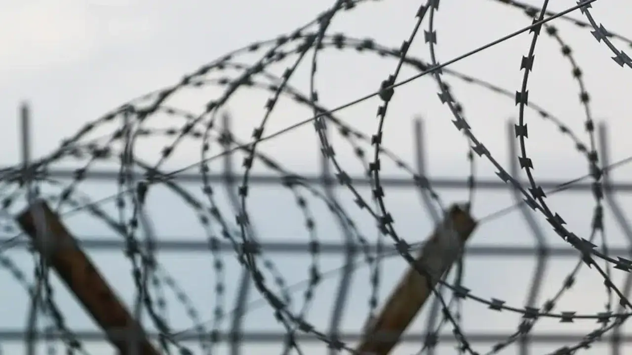 Президент мустақиллик байрами муносабати билан маҳкумларни афв этди