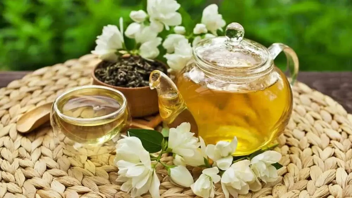 Jasmine tea — benefits and precautions of the fragrant drink