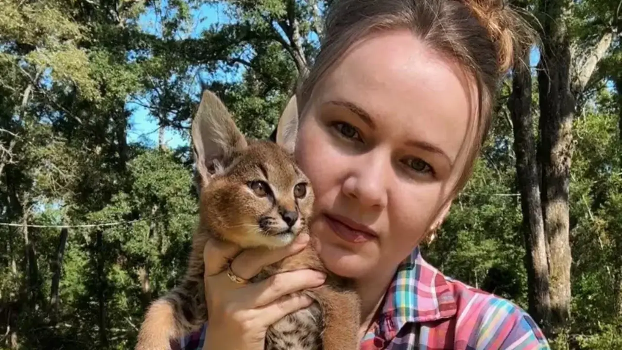 Dunyodagi noyob Karakat mushuklari Ganna Kuzmina qo‘lida