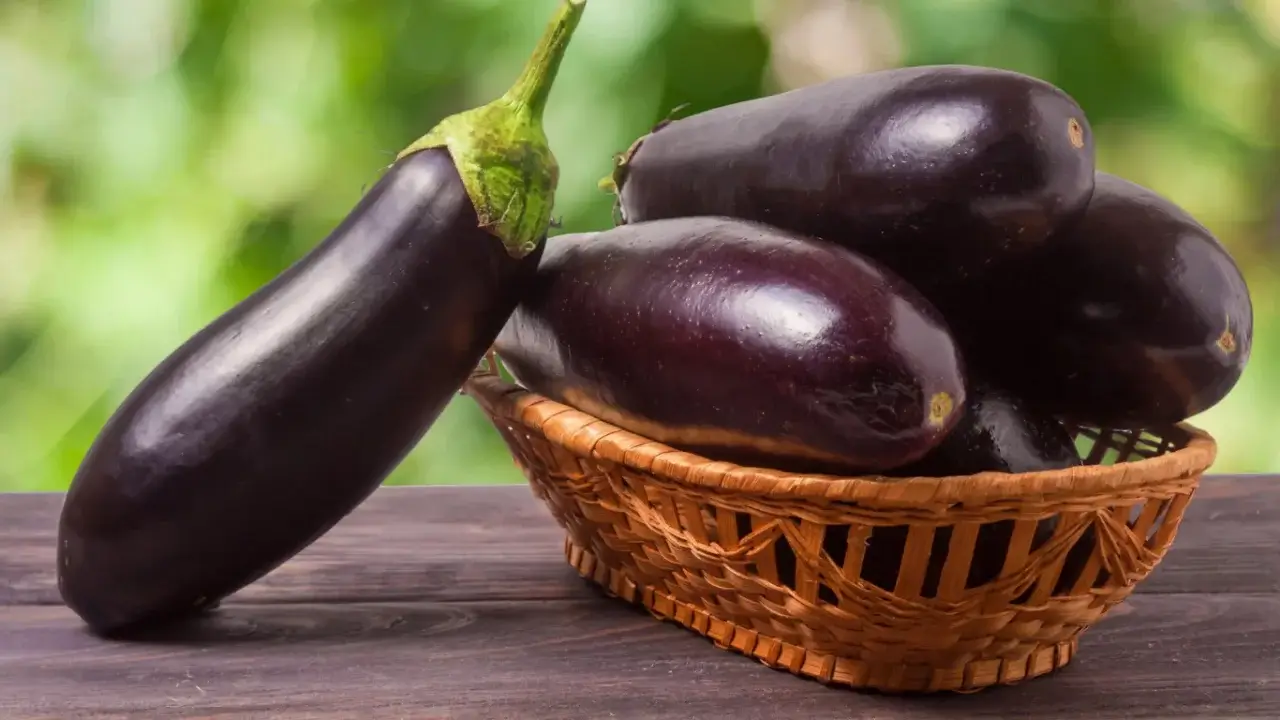Eggplant - a natural source of health