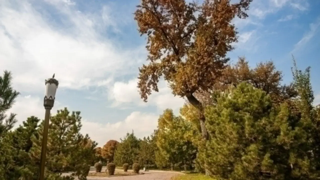 What weather is expected in Uzbekistan on the weekend?