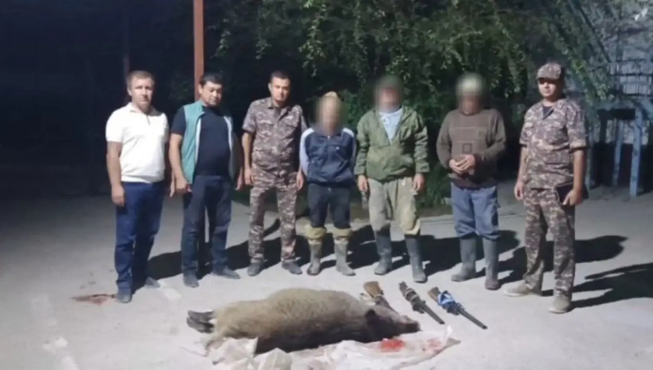 Гулистонда рухсатсиз тўнғиз овлаганлар қўлга олинди