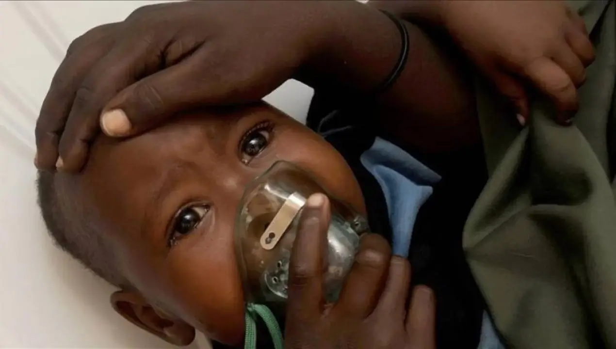 The number of deaths from animal-borne Lassa fever is rising in Nigeria.