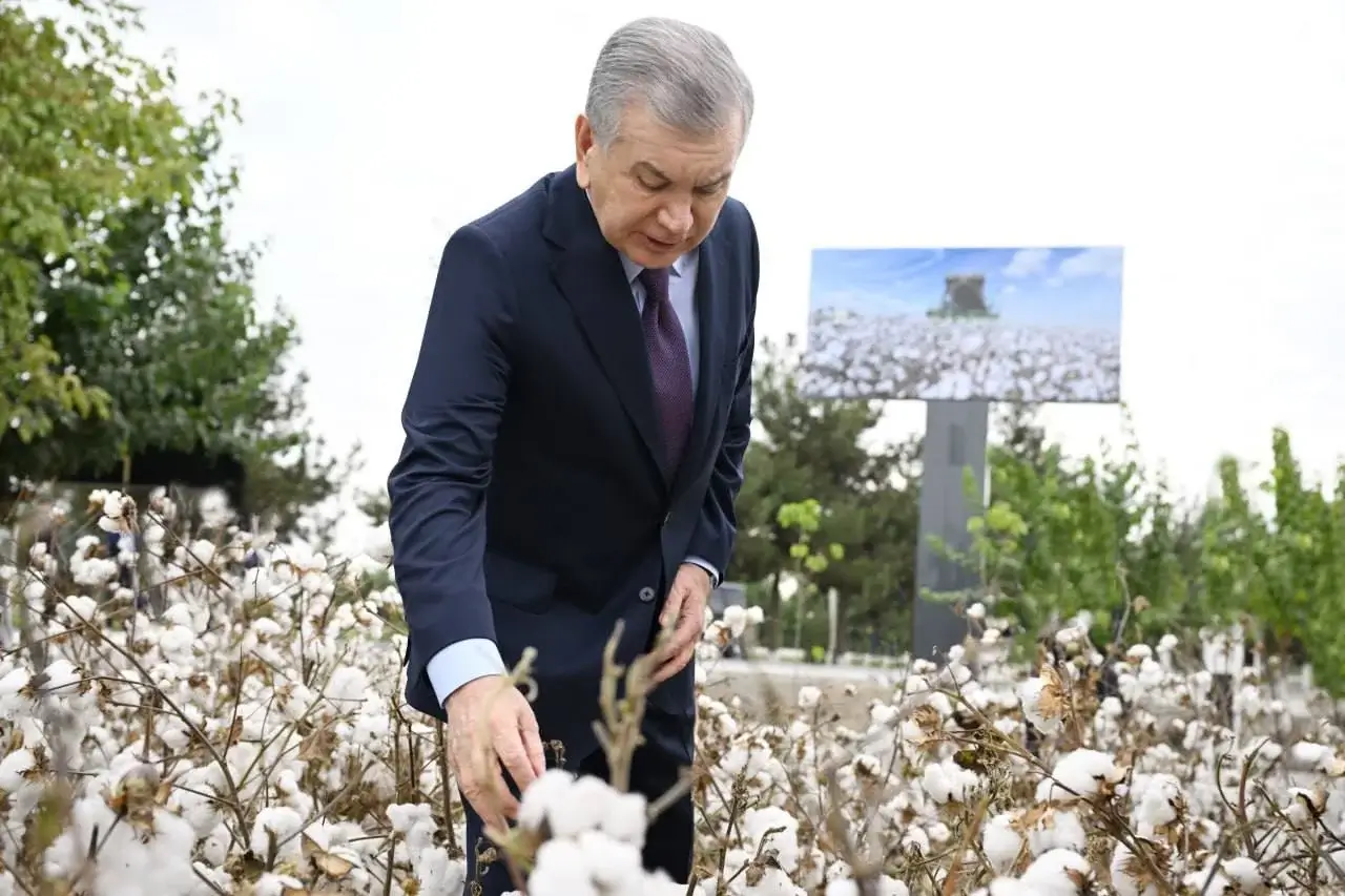 Mirziyoyev Namanganda baliqchilik, ijtimoiy markaz va nasos stansiyasini ko‘zdan kechirdi
