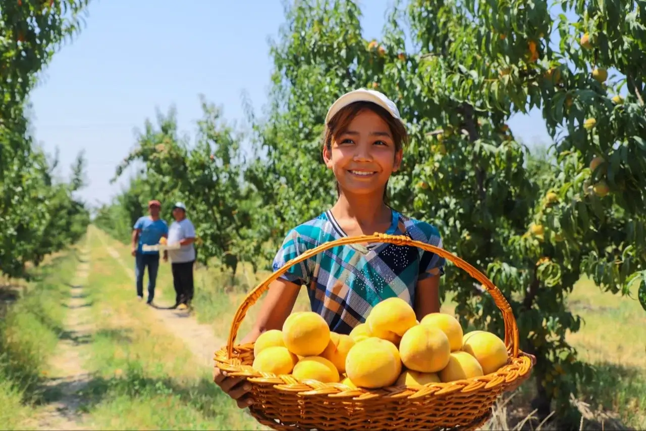Official trade turnover in agriculture will be tripled