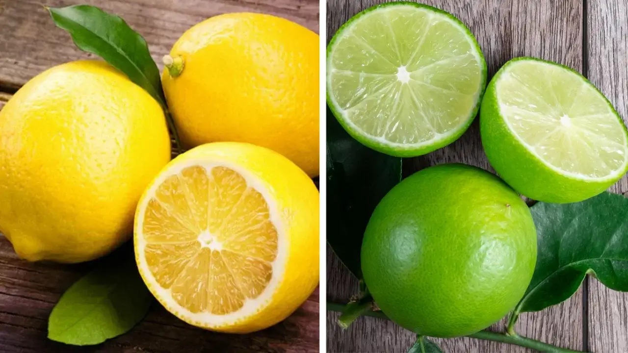 Lemon or Lime? Know the Differences!
