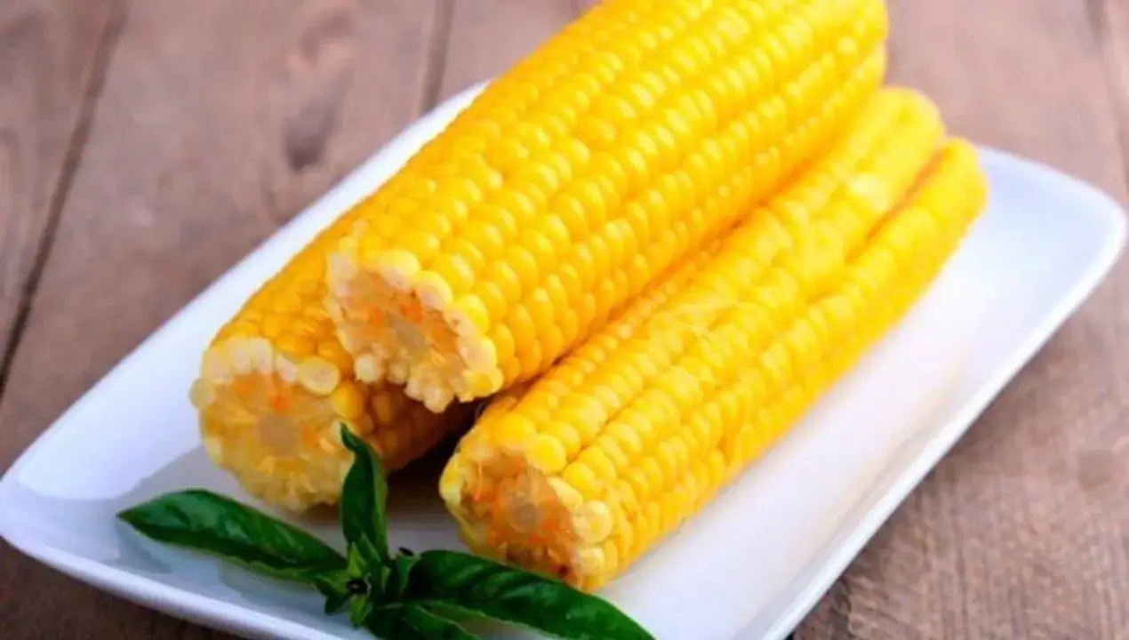 Seven benefits of corn: a guarantee of health and longevity