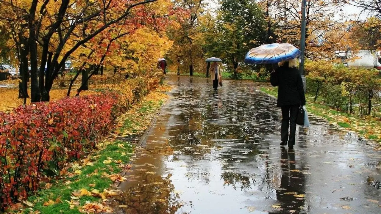 Uzhydrometeorological Service predicts rainy and cold days at the beginning of the week