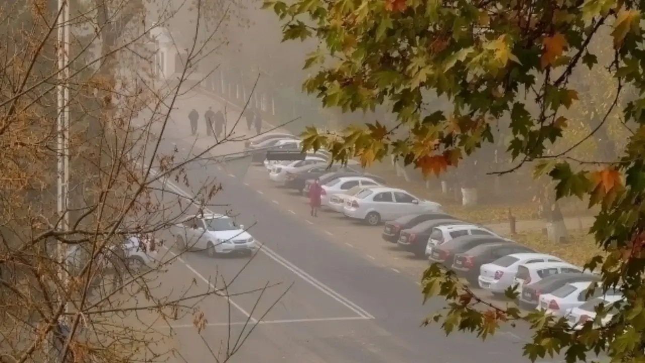 Toshkent havosidagi ifloslanish: Nega shunday bo‘ldi va qanday oqibatlar kutilmoqda?