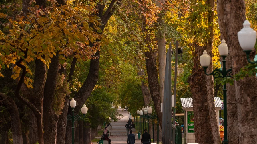 10 oktyabrda havo quyoshli bo‘ladi, yog‘ingarchilik kuzatilmaydi