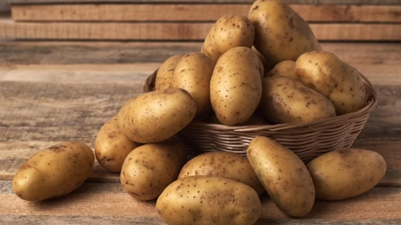 Özbekistan'a patates ithalatında ilk sırada hangi ülke?