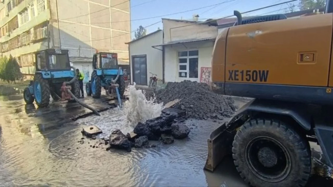 Гастрономиялық фестивальге байланысты жол қозғалысы уақытша шектелді
