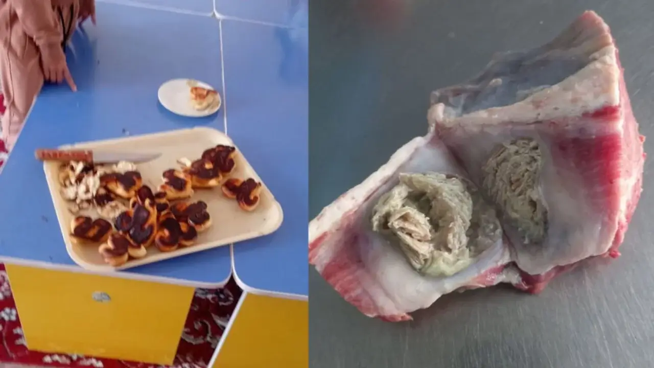 Samarqanddagi bog‘chada bolalarga sifatsiz ovqat berilayaptimi?