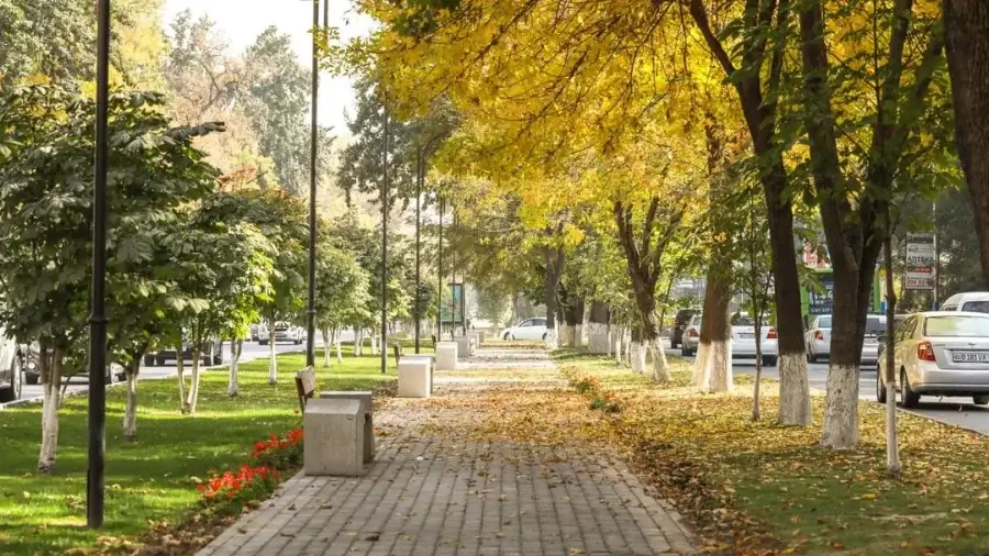 4 oktyabr kuni uchun OB-HAVO prognozi