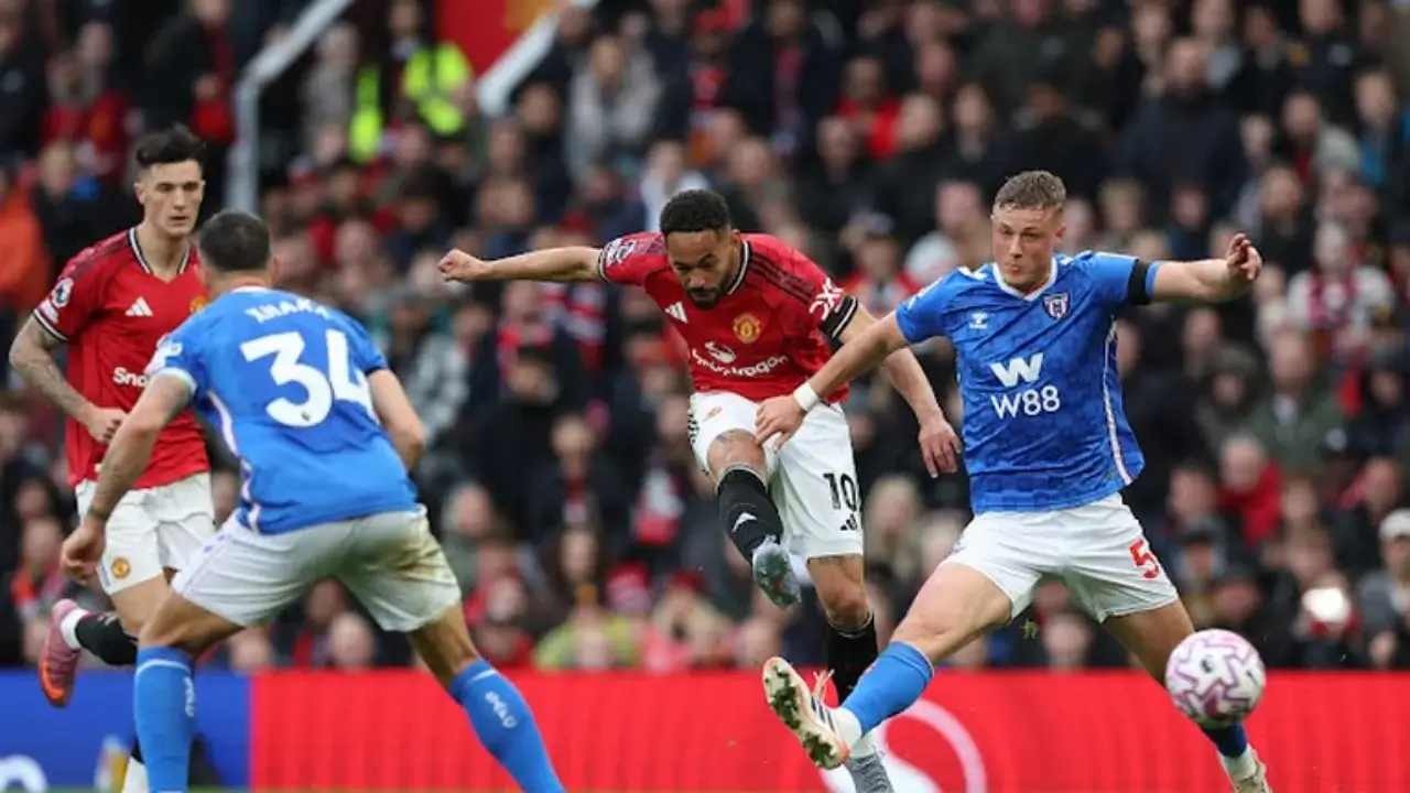 Manchester United defeated Sunderland at home