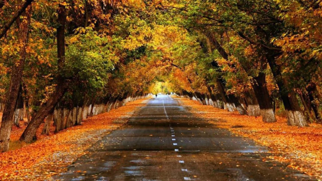 Эртага ёмғир йоғадими? Ўзгидромет якуний прогноз берди