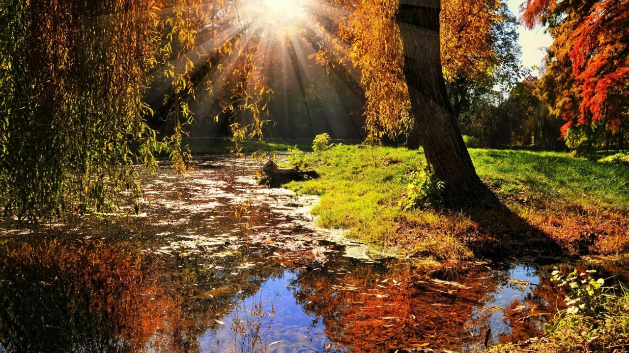 18 noyabrda qayerlarda havo yanada issiqlashadi?