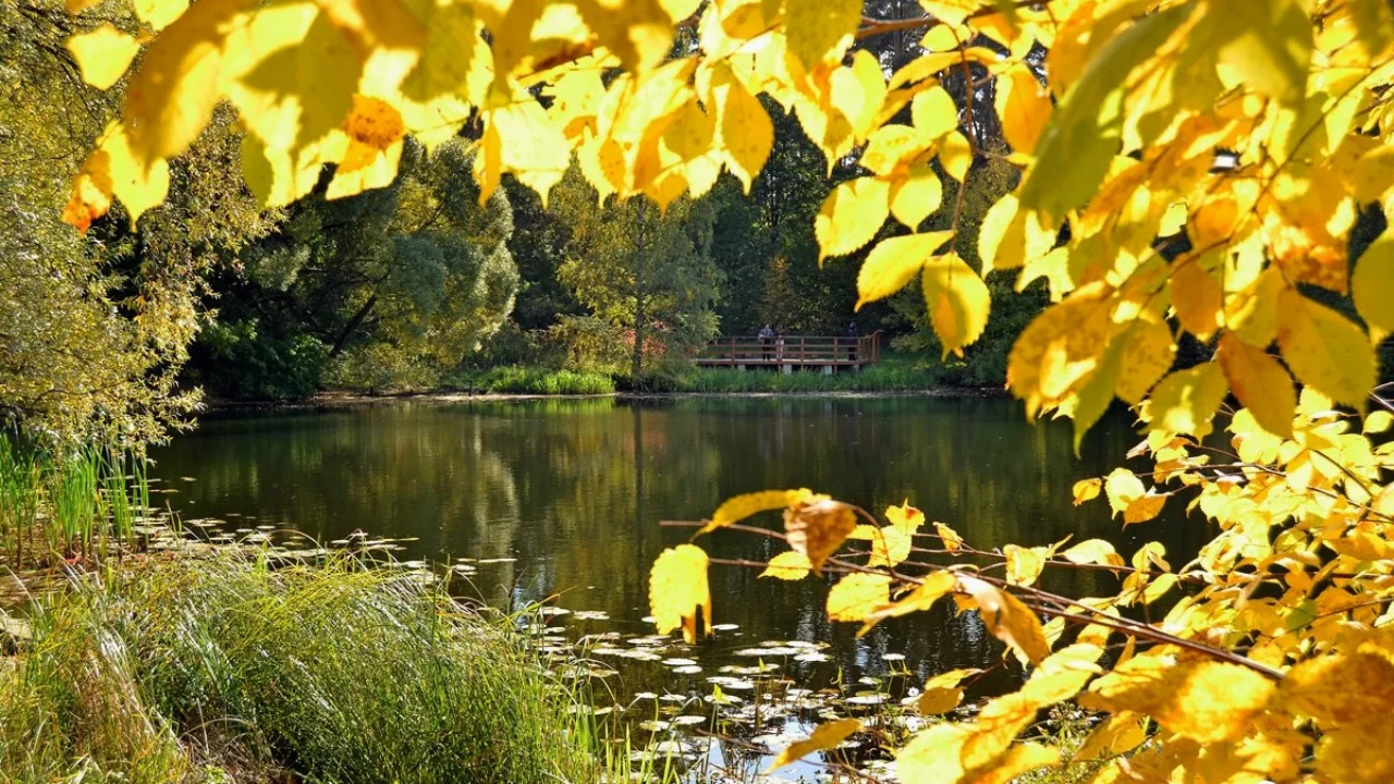 Эртага қандай об-ҳаво бўлади?