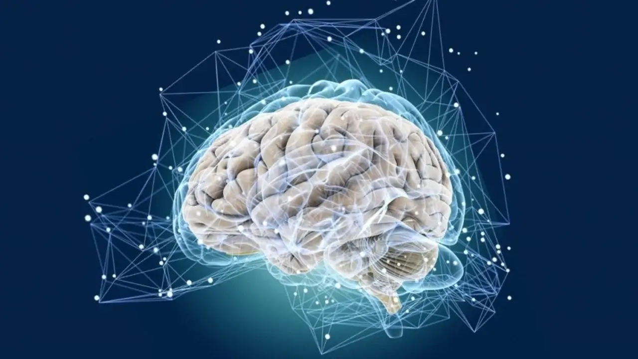 Ayollar miyasi erkaklarga nisbatan sekinroq qarishi aniqlandi