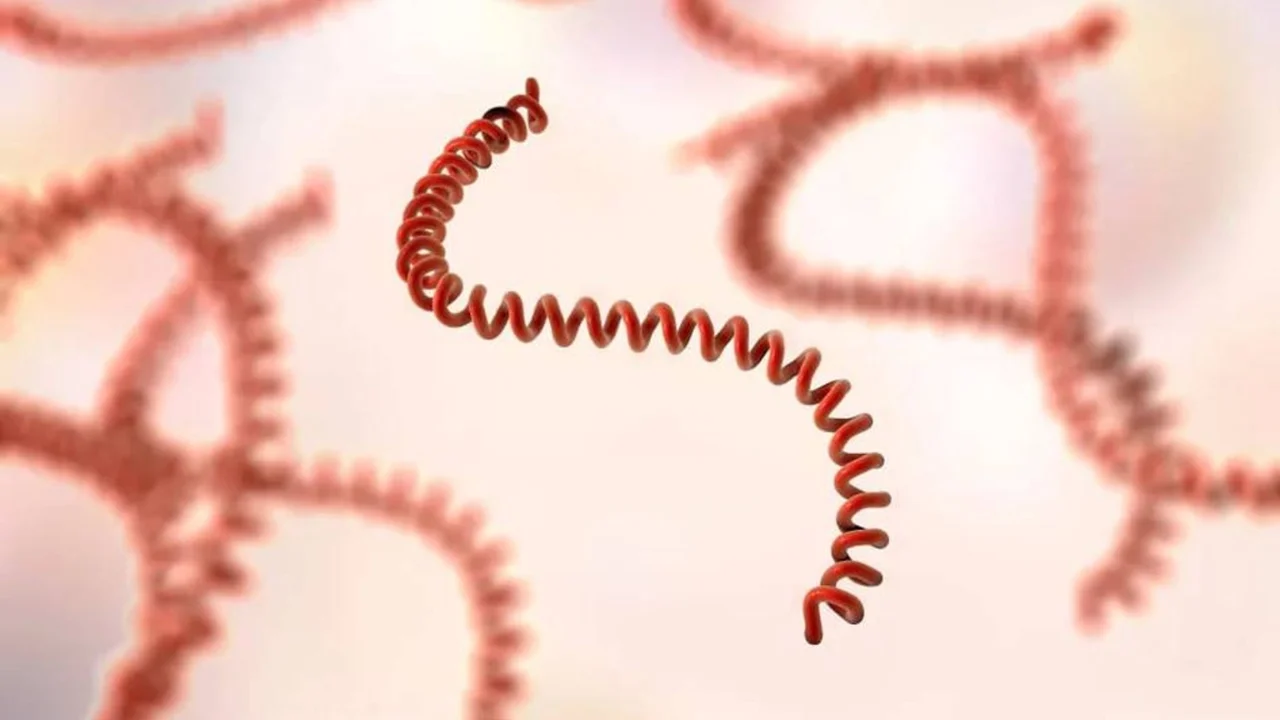 «Мелисса» тўфони ортидан Ямайкада хавфли эпидемия тез кучаймоқда